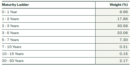 Figure 10: Maturity ladder