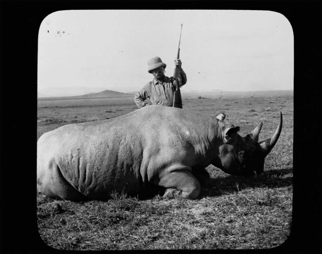 Former President Theodore Roosevelt stands over a rhino he has shot while on safari in Africa. Roosevelt went on safari and an extended tour of Africa and Europe immediately after leaving the presidency in 1909.