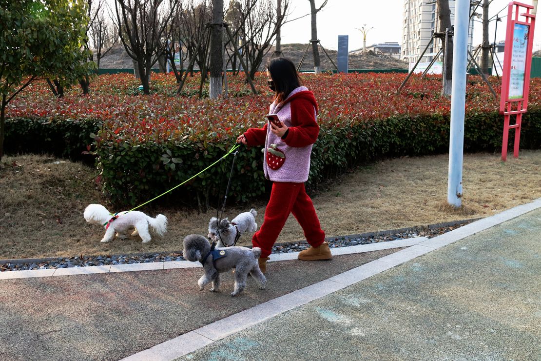 People walk their dogs on a street in Huai 'an city, East China's Jiangsu province, on March 6.